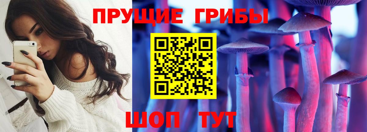 Галлюциногенные грибы Psilocybe Рыбинск